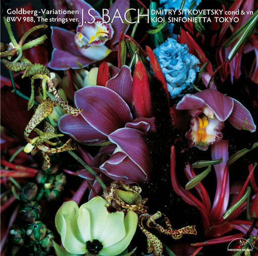 免费女人18毛片视频
